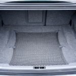 trunk-2464979_1280